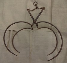 alte Heuzange Heu Spinne